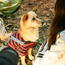 핸섬가이즈 이미지