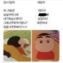 다자이오사무는인간실격이라고했지만나는오늘사람에게친절했어✨인간합격~~💖다자이오사무!기운내💫