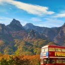 호텔 뷰티플 이미지