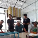 임마누엘팜 이미지