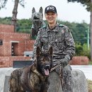 육군 군견훈련소 이미지