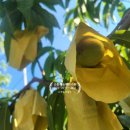 순흥공인중개사사무소 이미지