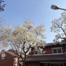 용산-서빙-221 이미지