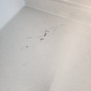 평촌어바인퍼스트2단지 | 평촌어바인퍼스트2단지 인테리어 공사 후 욕실과 주방에 오염 방지 나노코팅