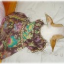 엄마의생활 이미지