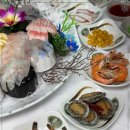 제일애견 이미지