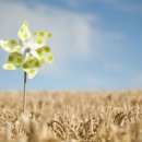 라온컴퓨터 이미지