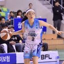 버금자리 이미지