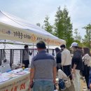 이루다 동물병원 | (특집) "한날 구조된 유기견들, '대가족' 이루다." 시흥동물누리보호센터 입양률 지난해 무려 49% 달해..