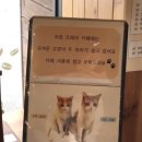 끄레마 이미지
