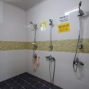 시냇가캠핑장 이미지