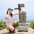 블랙야크해남점 - 52336 | 해남 달마산 최단 등산 코스 미황사 주차장 원점회귀