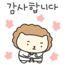 선여불로 이미지