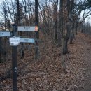 역고개농장 이미지