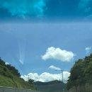솔비치펜션민박 | 낭만이 가득했던 8월 비진도 2박 3일 여행🏖️🫧🩴🩵: 시원한민박 안채 후기, 비진도 횟집 추천, 포토존 추천