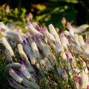 광사1천 이미지