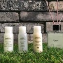 실라마실1 이미지