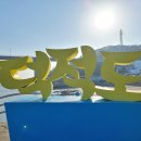 물푸레 이미지