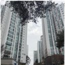 라인부동산중개사무소 이미지