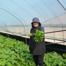 양촌농원 이미지