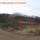 연천군 군남면 황지리