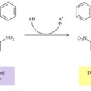 박하제주 이미지