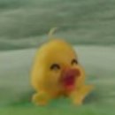 댕댕이지 이미지