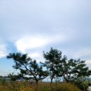 율곡관광농원 야영장 | 비 오는 날의 낭만, 안성 율곡관광농원 캠핑 후기