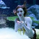 인어공주 이미지