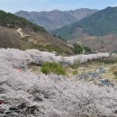 소망2농장 이미지