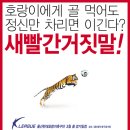 포스터울산