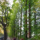 하오개로 이미지