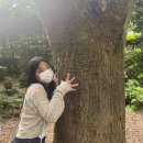 버스정류장 07-253 | 제주도 뚜벅이 여행 🏝 (07. 17~ 21)
