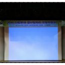 대전행사와서 한화야구직관