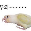 화화스토리 이미지