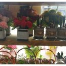 청명원협동조합 이미지