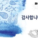 남선씨엔델리