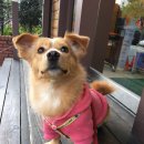 일우농장 이미지