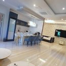 힐링애견 이미지