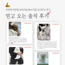 논산애견 | 논산애견분양 고민의 종착지