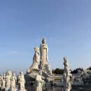 거북바위로 | 양양 휴휴암 방문 후기｜주차·거북바위·지혜관음보살까지 총정리