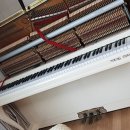 일동상회 이미지