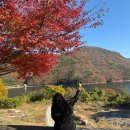 읍내스테이 이미지