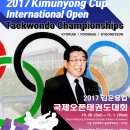 한양대 올림픽 태권도 조선일보
