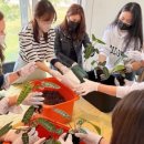 실내식물관리사 2급 자격증 과정 이미지