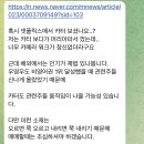 소식돈주 이미지