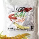 파충류샵