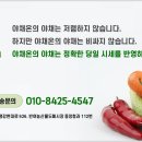 믿음청과야채