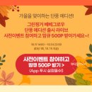 포인 이미지