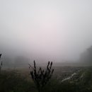 덕연농장 이미지